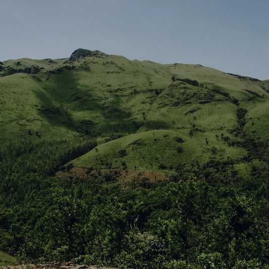 Ratnagiri Hydro Honey