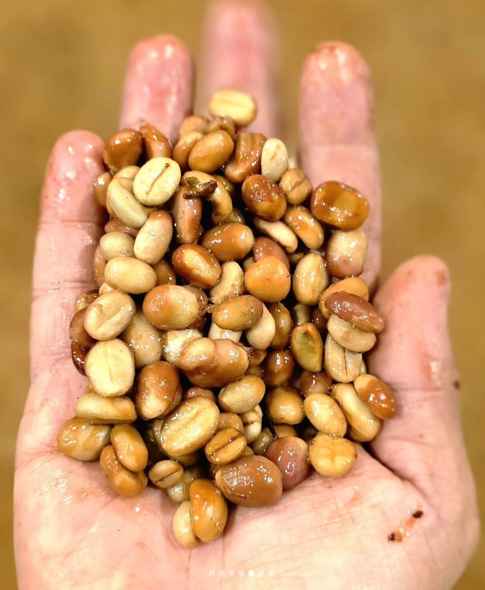 Ratnagiri Hydro Honey