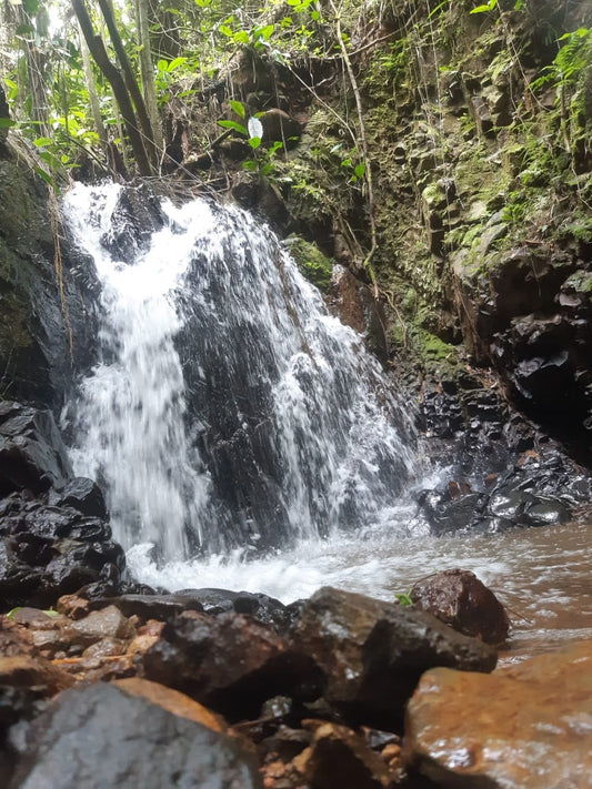 Skiuro Lot 1 SL 28 Washed