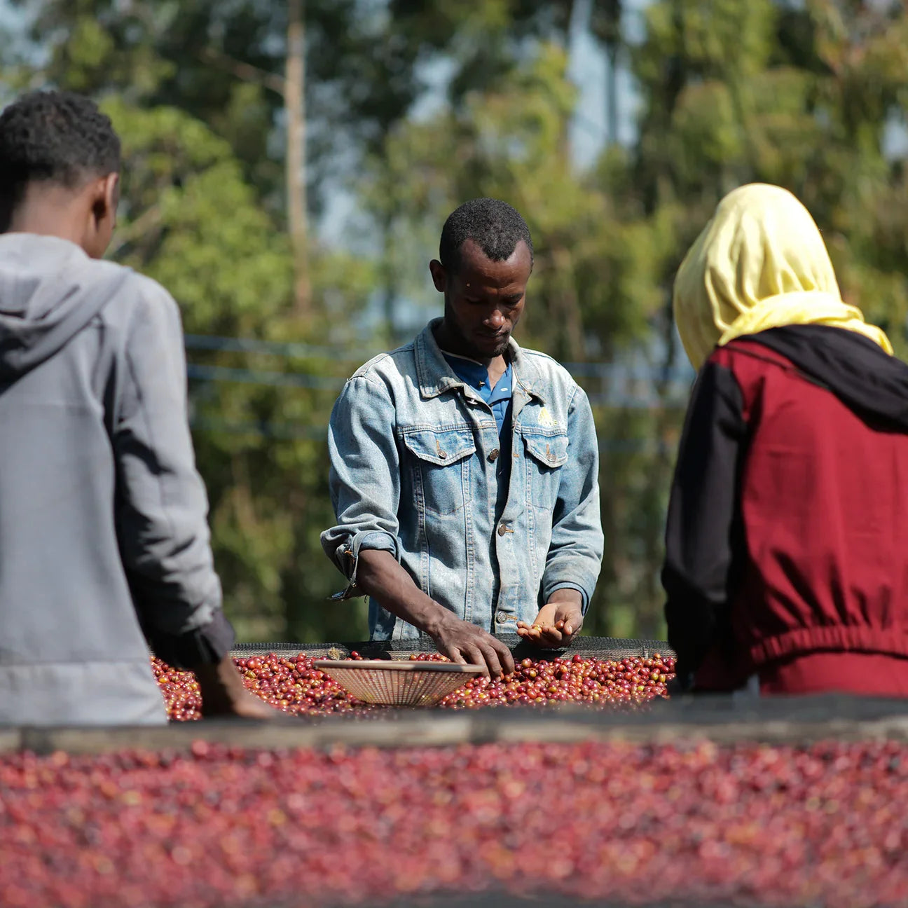 Ethiopia