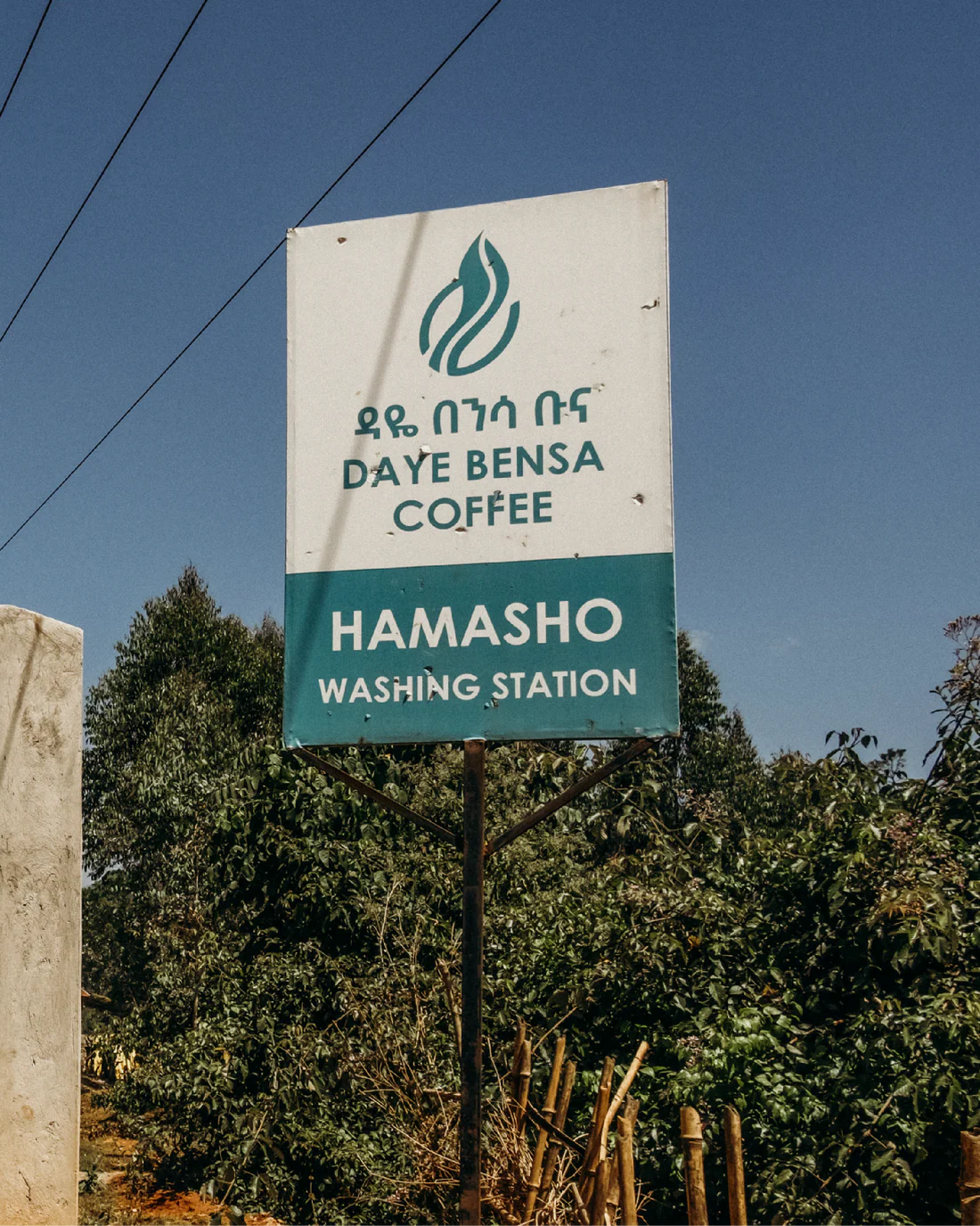 Hamasho Lot 12