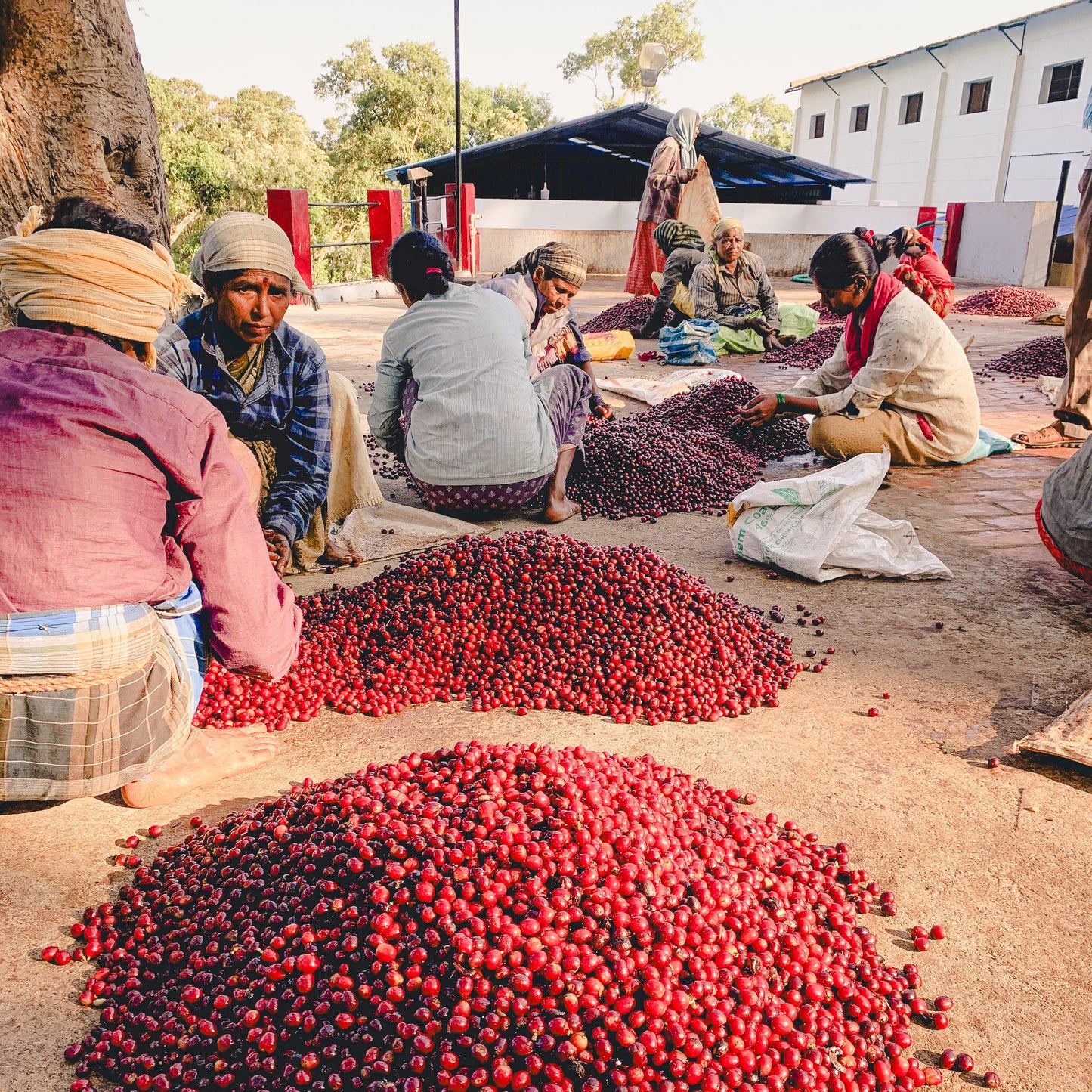 Ratnagiri Culture Naturals