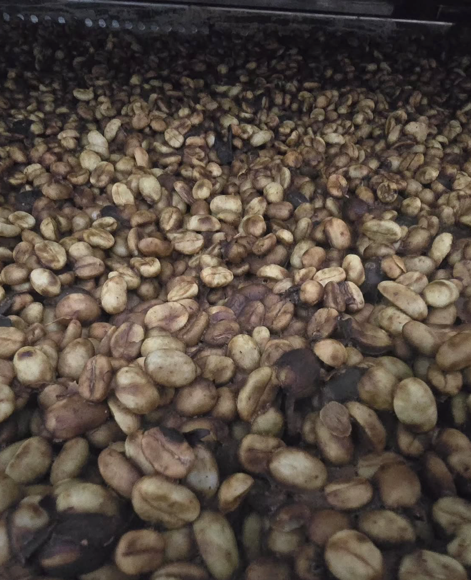 Ratnagiri Hydro Honey