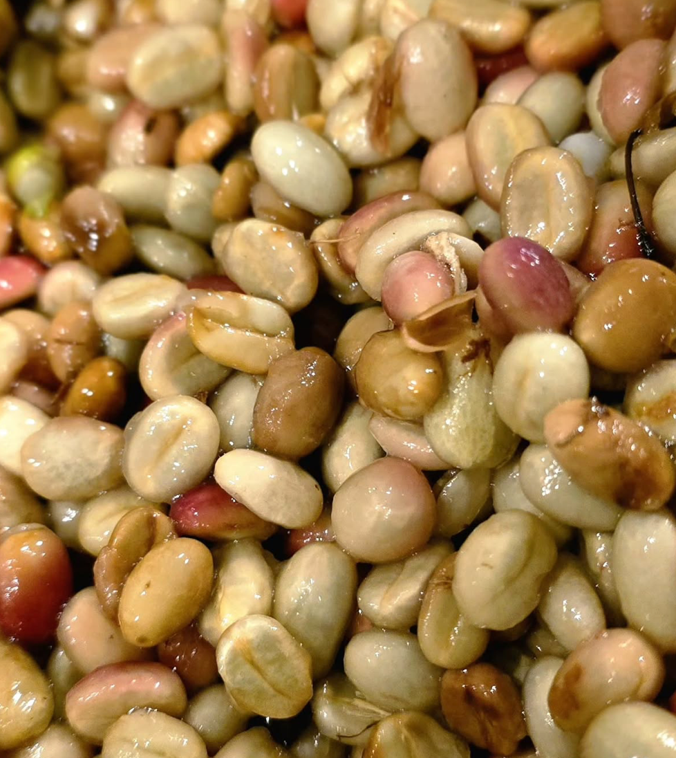 Ratnagiri Hydro Honey